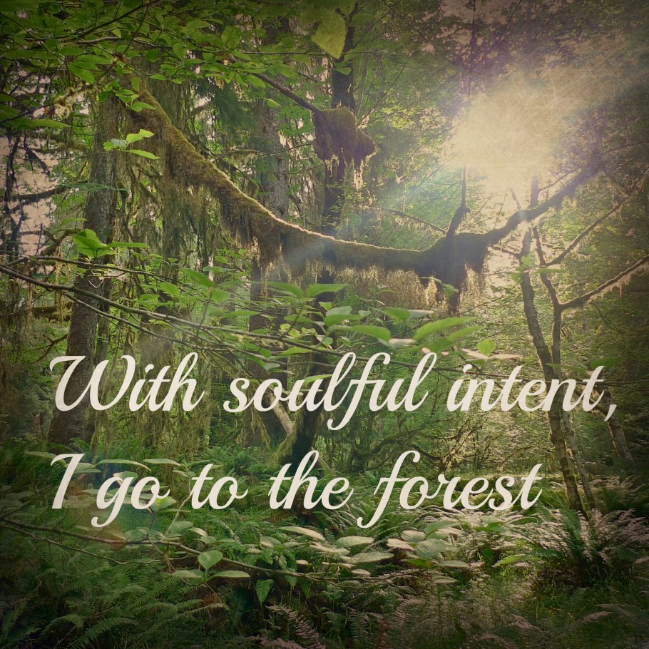 Цитаты про лес и природу