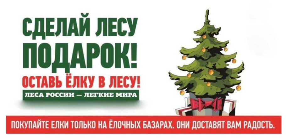 Против вырубки елок