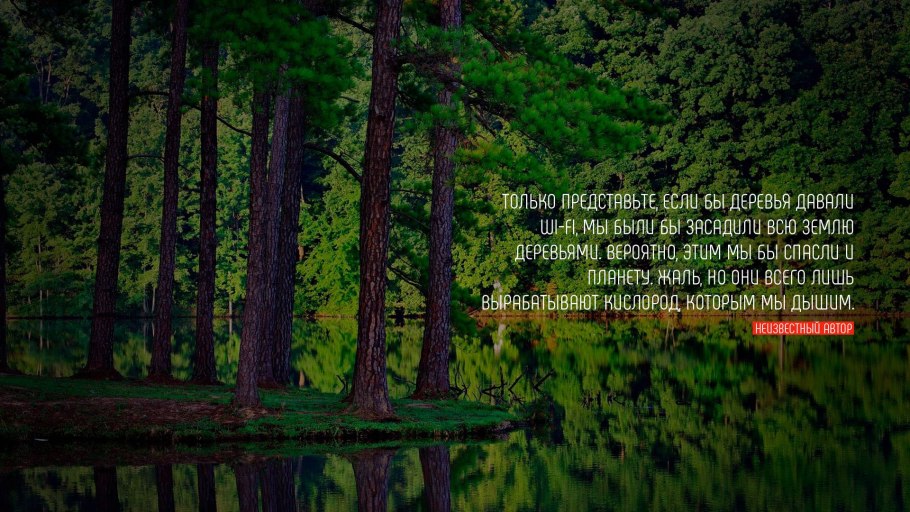 Цитаты про природу