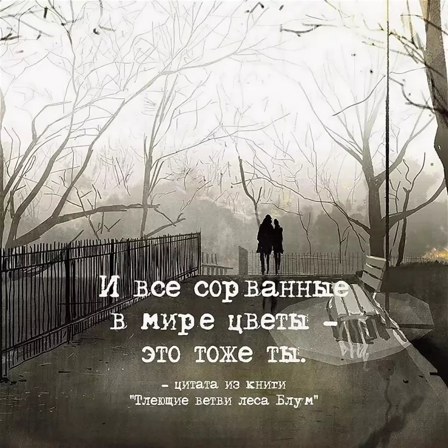 Вперед и только вперед цитаты