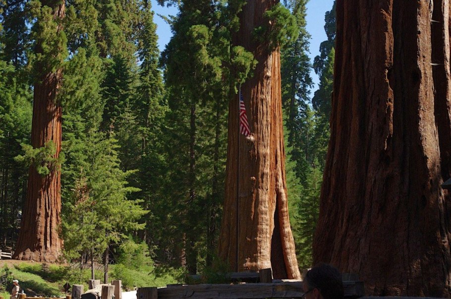 Национальный парк Секвойя Калифорния США