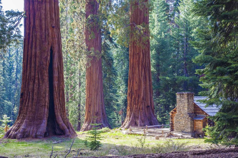 Роща Марипоса