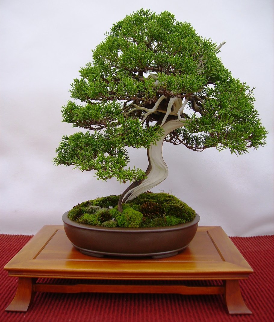 Поделки из бисера береза