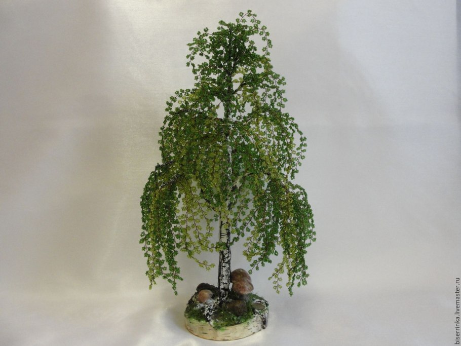 Бонсай Тополь