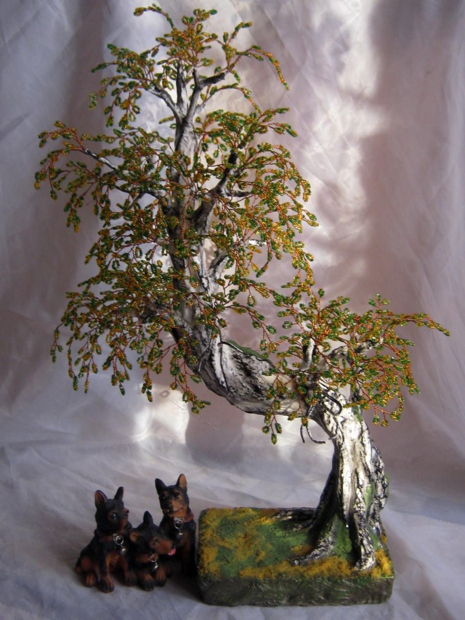 Бонсай Йосе-УЭ