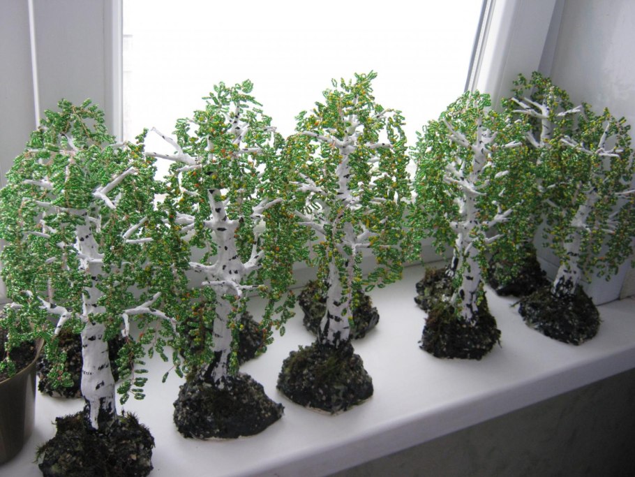 Бонсай Березка