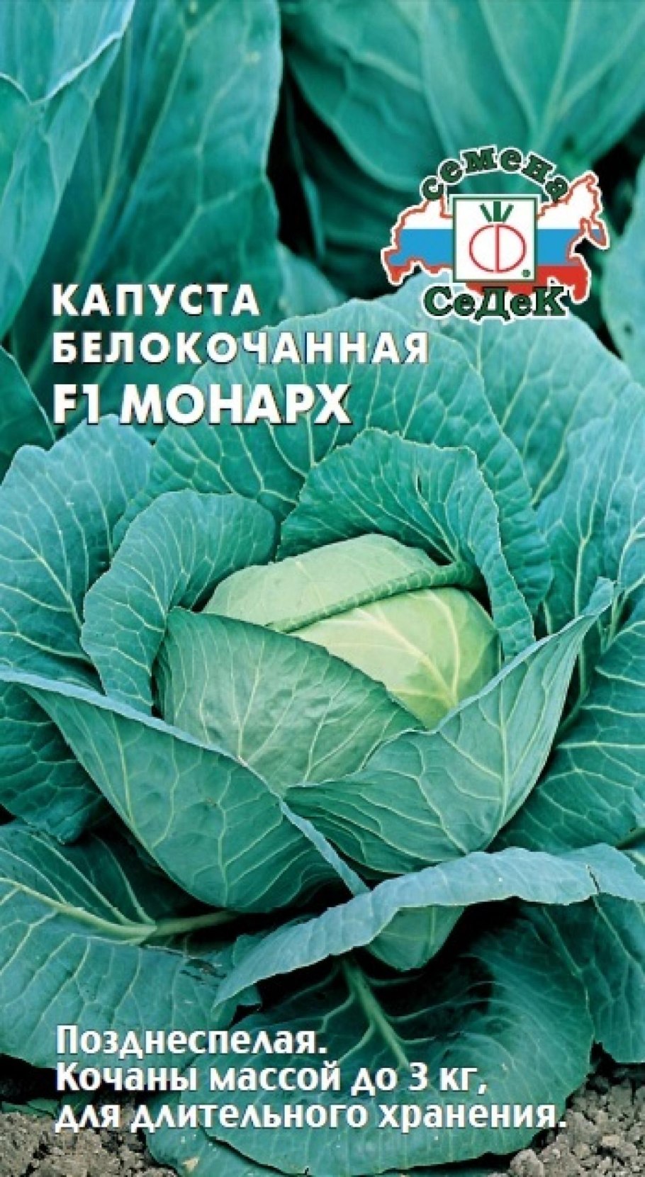 Капуста белокочанная спринт f1