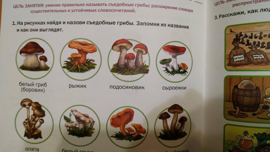 Книга фрукты и овощи