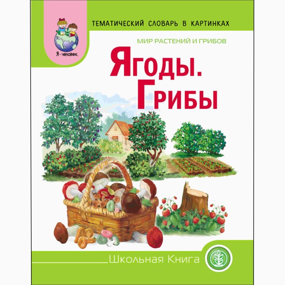 Развитие речи мир растений