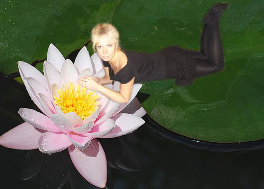 Лотос кувшинка