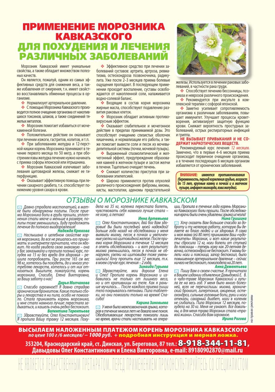 Морозник чай