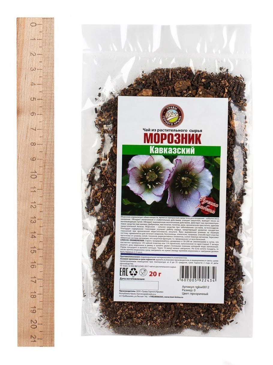 Геллеборус Pippas Purple