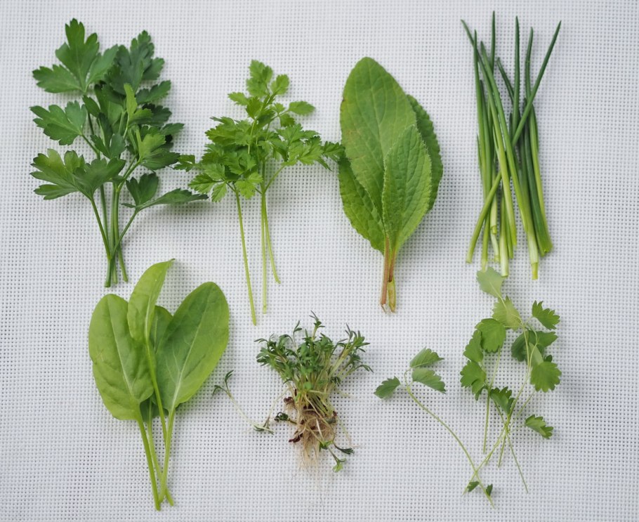 Укроп петрушка кинза