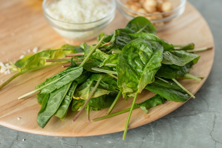 Трава конский щавель применение