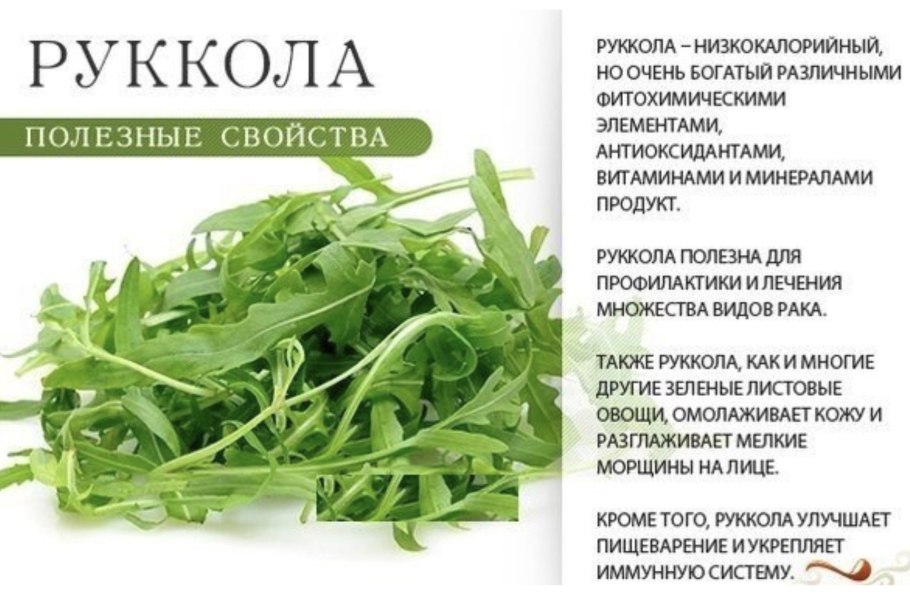 Зелень для еды