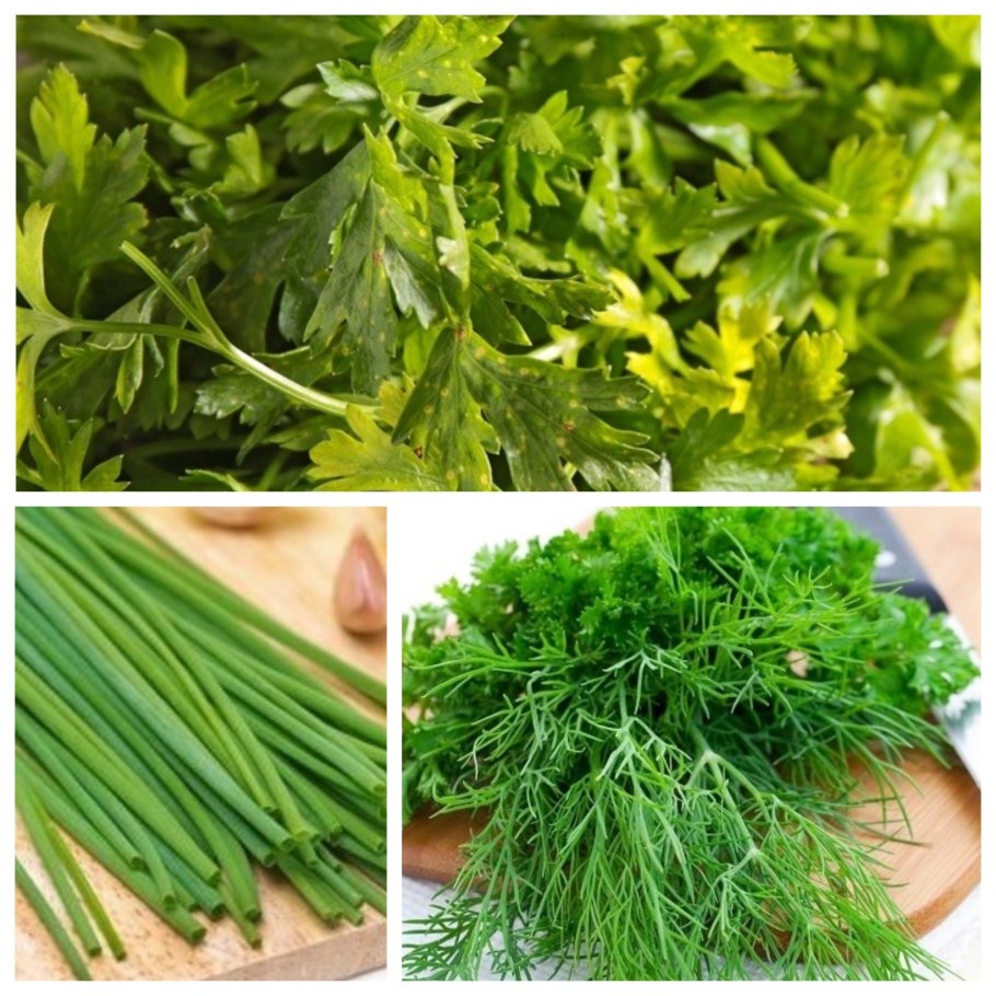 Лошадь ест щавель