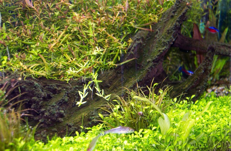 Надписи на черном фоне