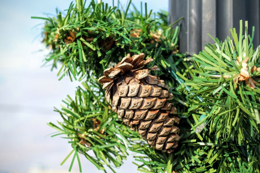 Мелкие шишки