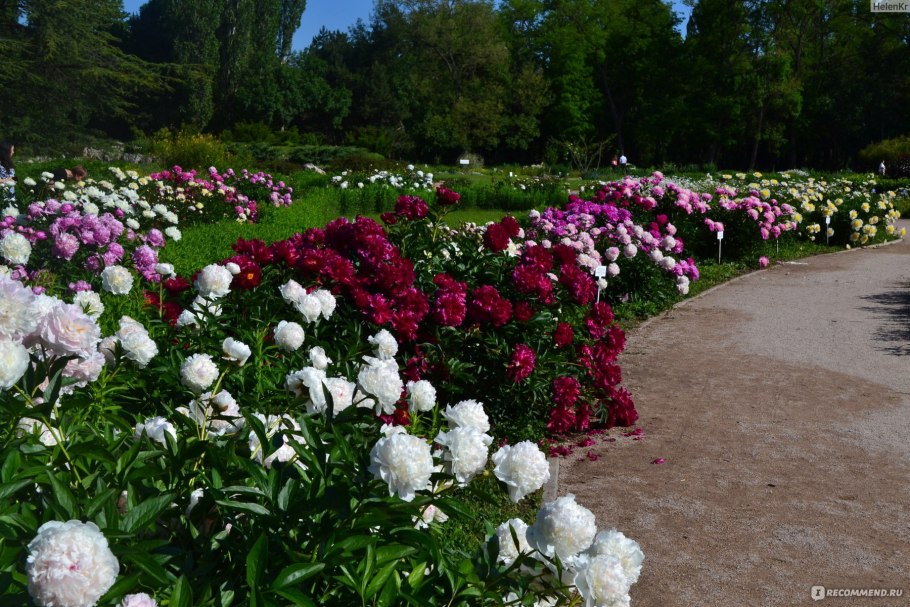 Пулков сад Иннокентий