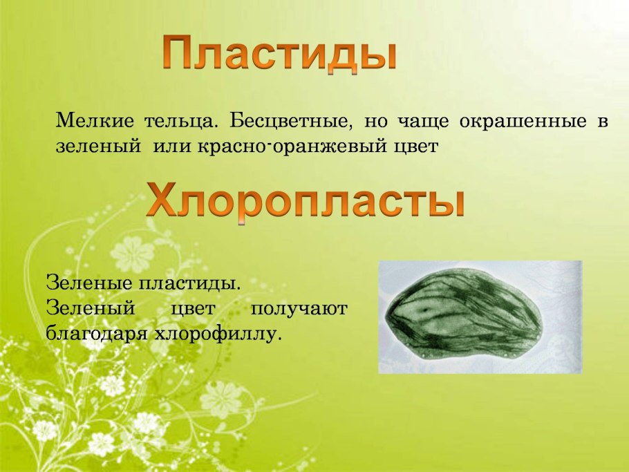 Диапазон света для растений