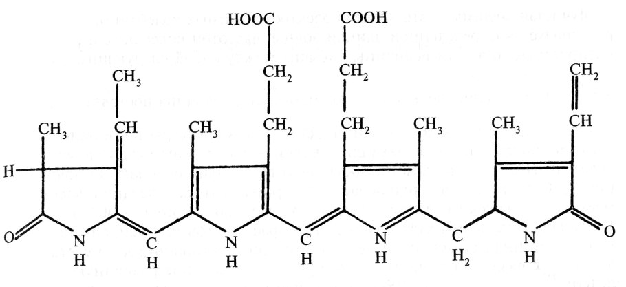 Красная водоросль в горных речках