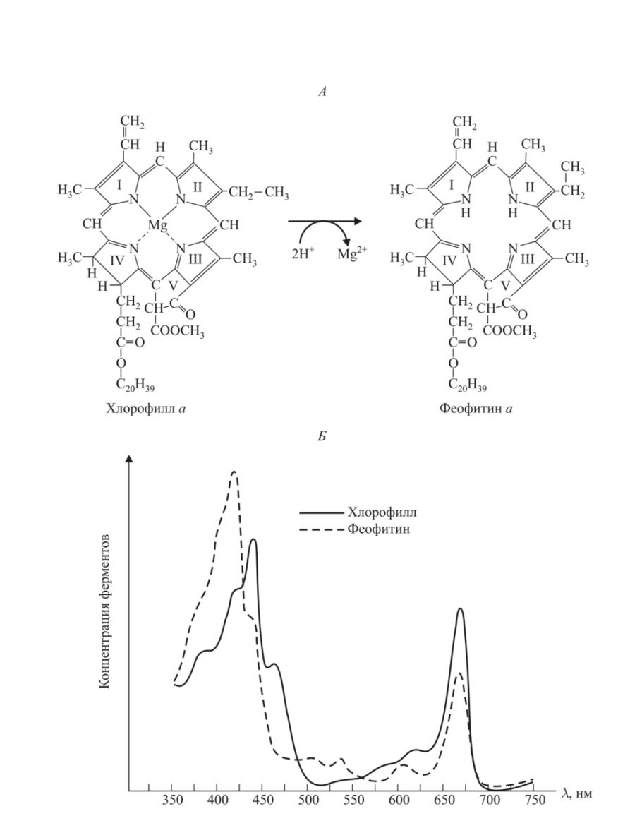 Пигмент хлорофилл формула