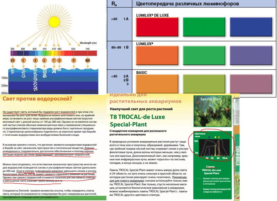 Флавоноиды (антоцианы, Флавоны)