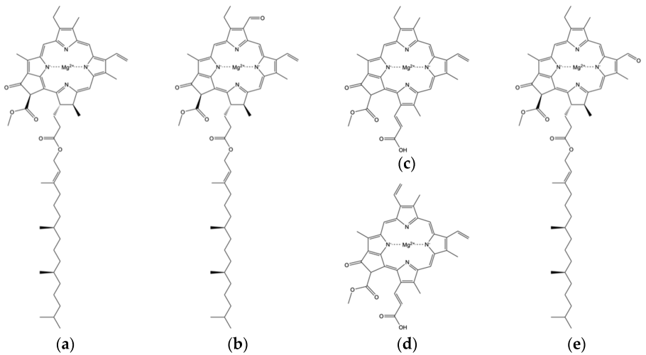 Хлорофилл a b c