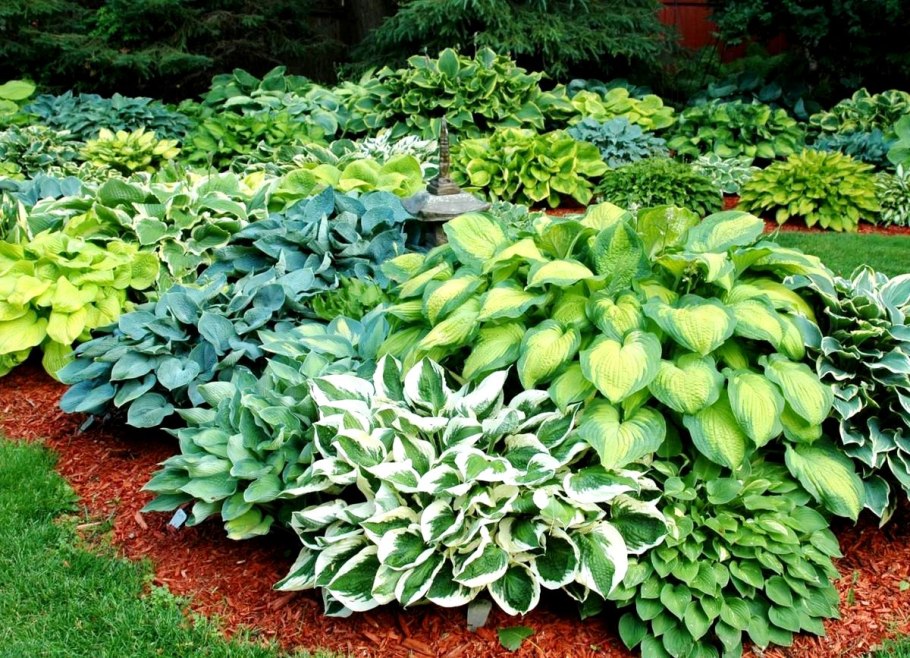 Обриета Hamburger Stadtpark