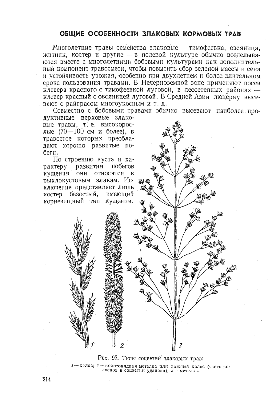 Рапс урожай