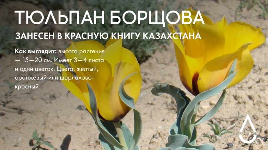 Красная книга Омской области