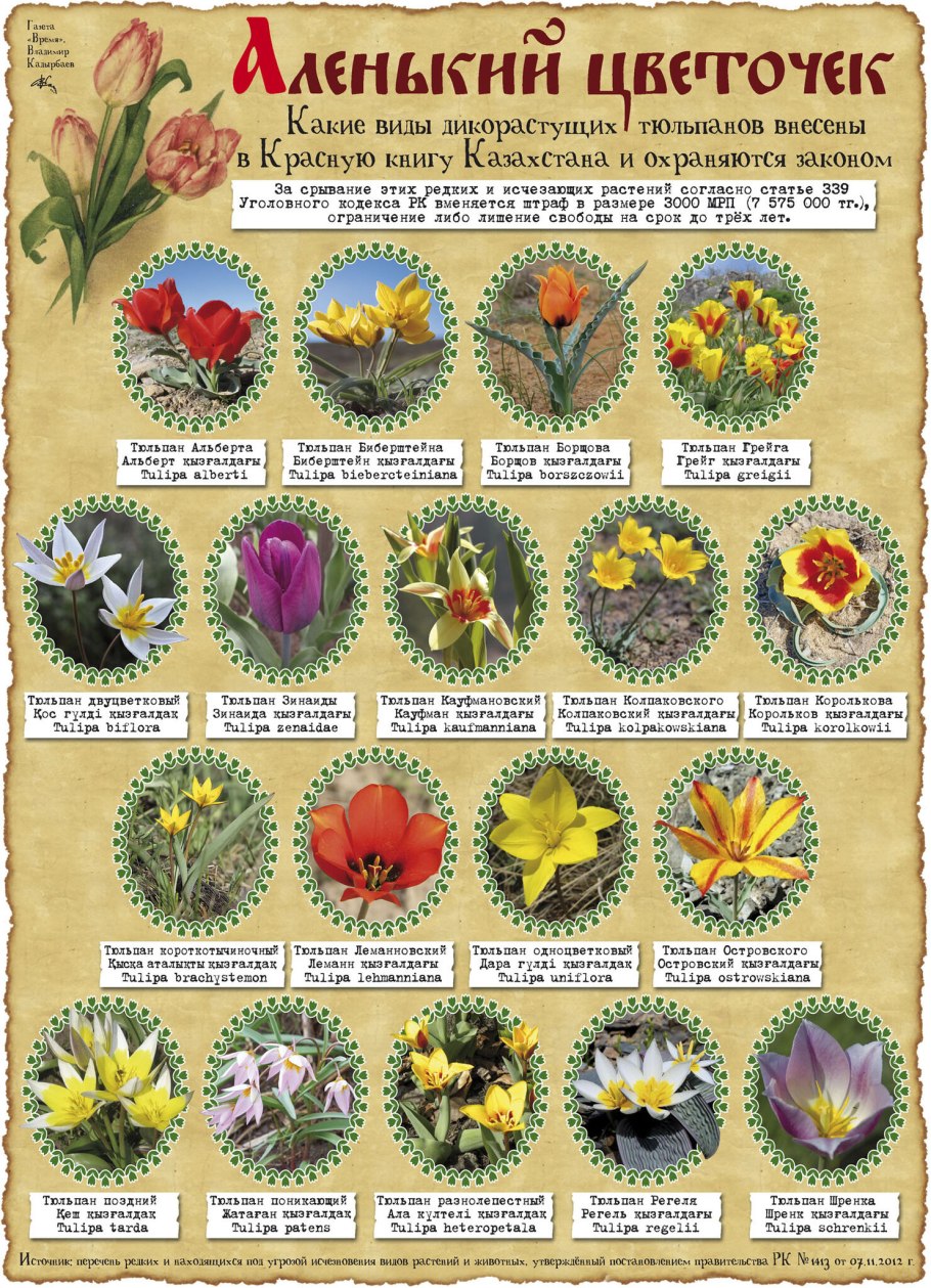 Восстановленные животные красной книги