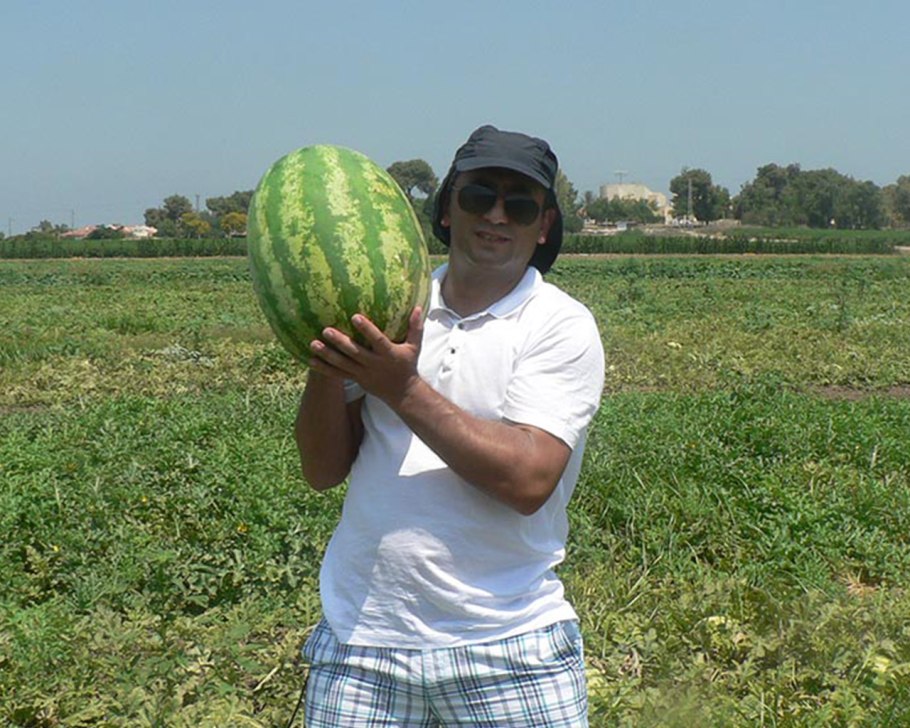 Арбуз Каристан f1