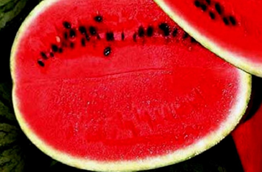 Семена арбуза Регус