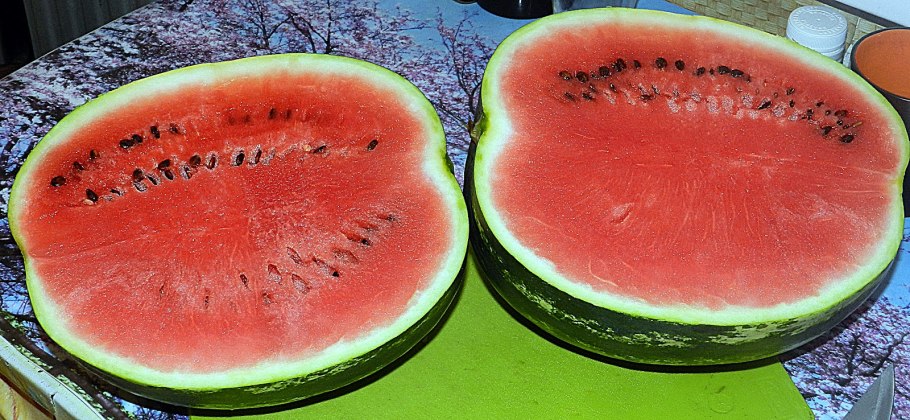 Арбуз Тамерлан f1