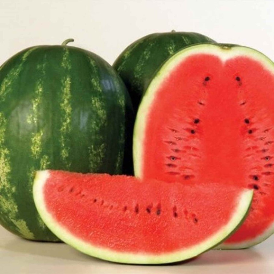 Арбуз волгоградец крс90 (банка-500гр)