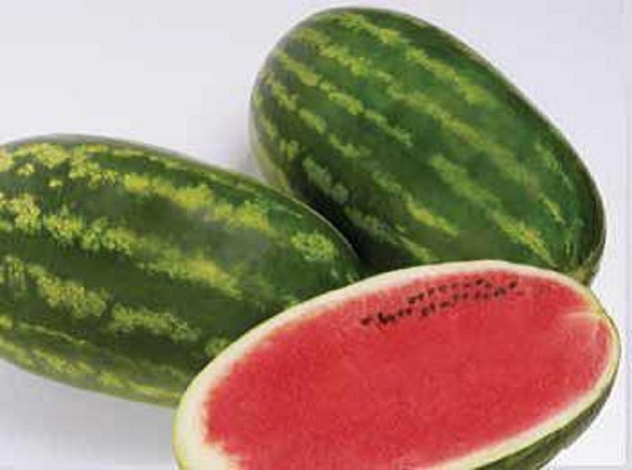 Арбуза Демир ф1