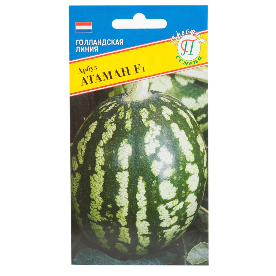 Половина арбуза