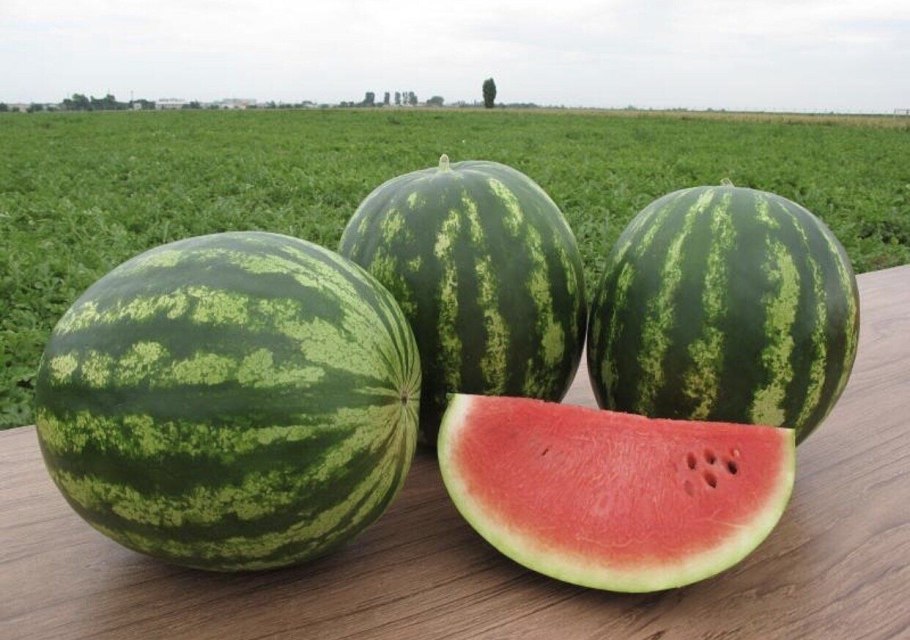 Арбуз Юбилейный