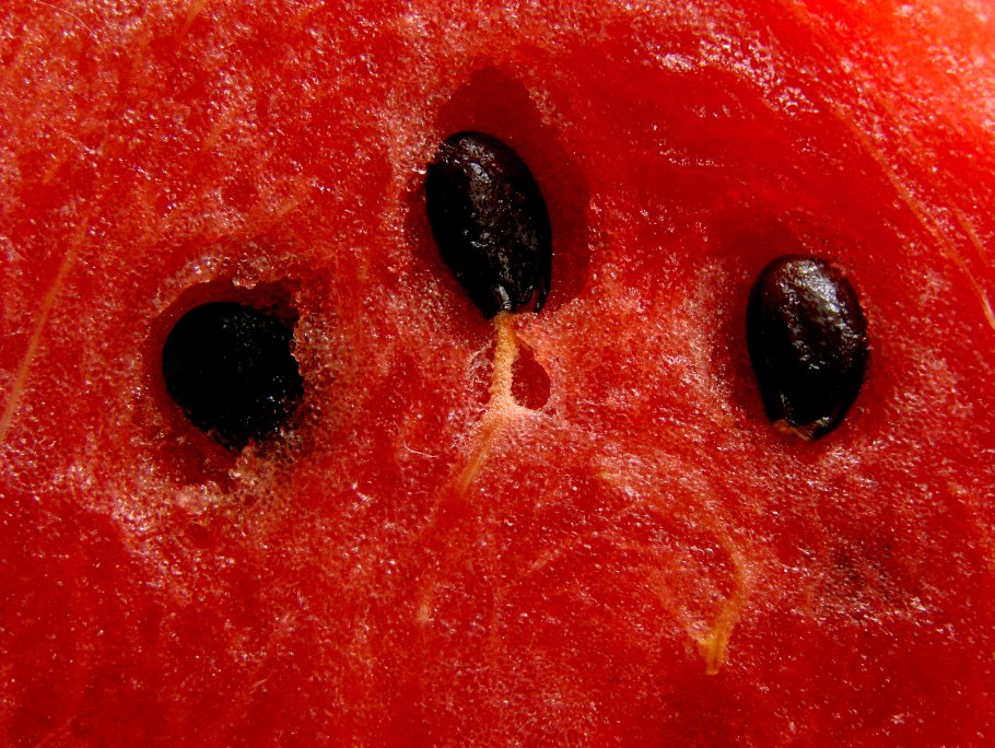 Арбуз Каристан ф 1 семена