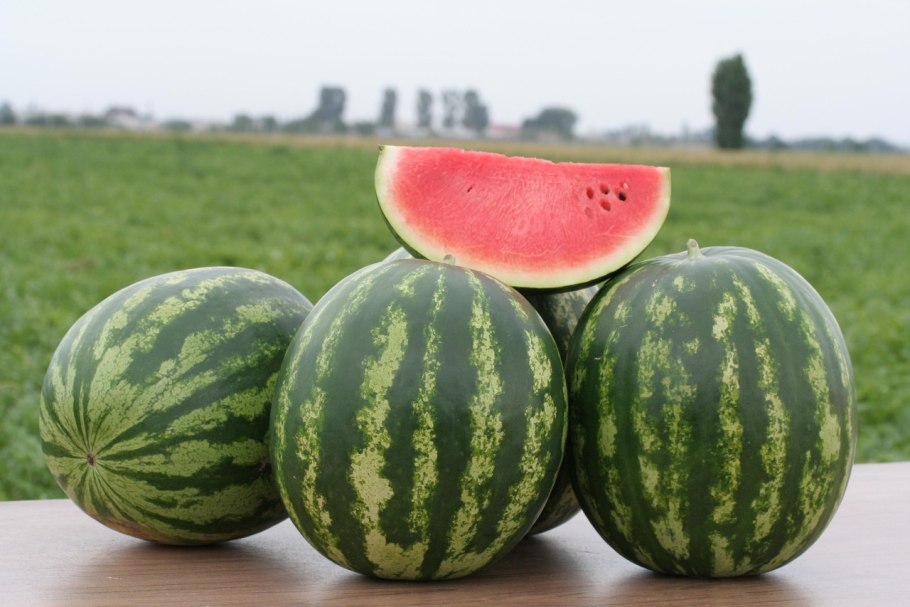 Арбуз Соренто f1