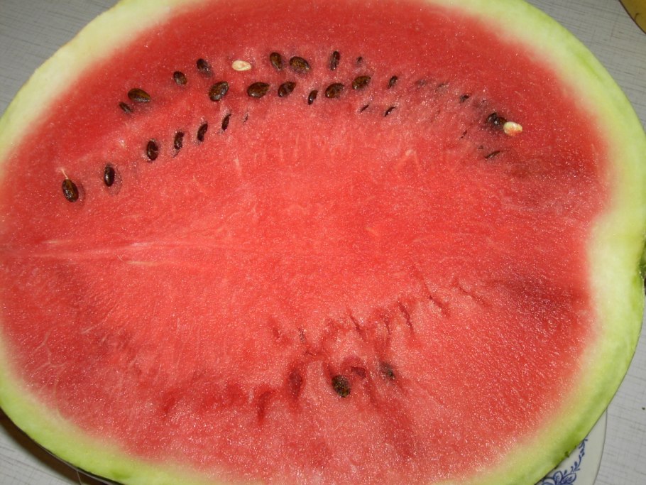 Арбуз Кольт f1