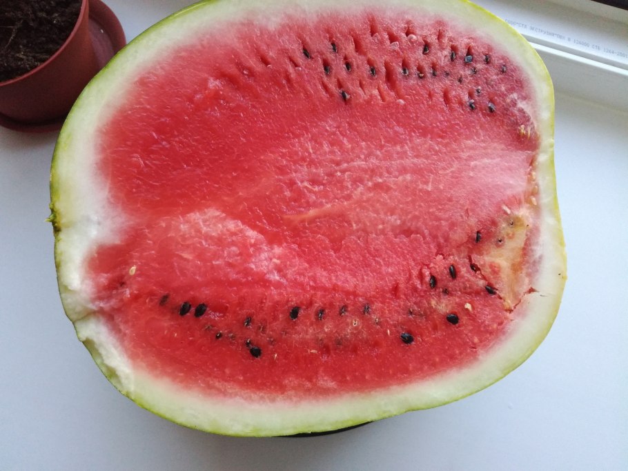 Сорт арбуза Кримсон Свит