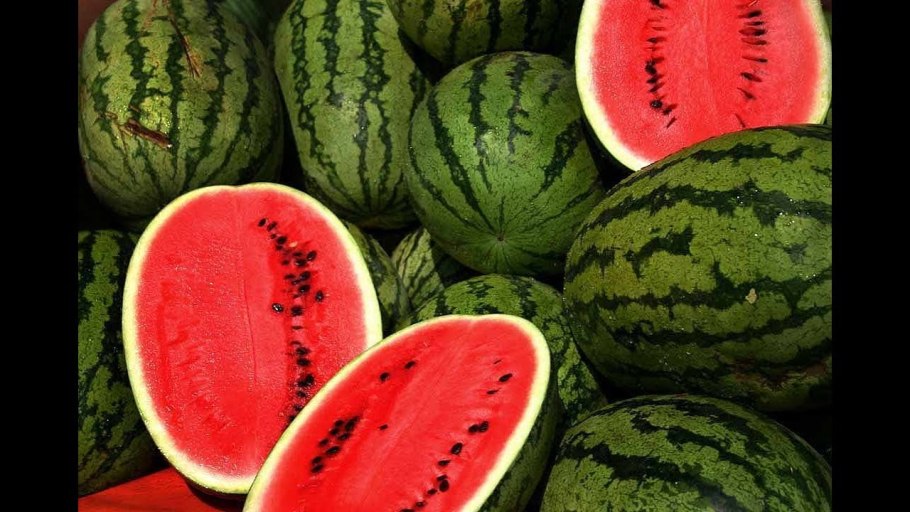 Астраханский сорт арбуза