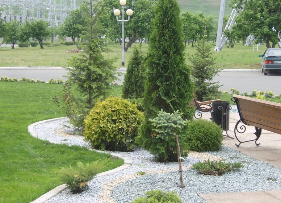 Ива плакучая и лиственница