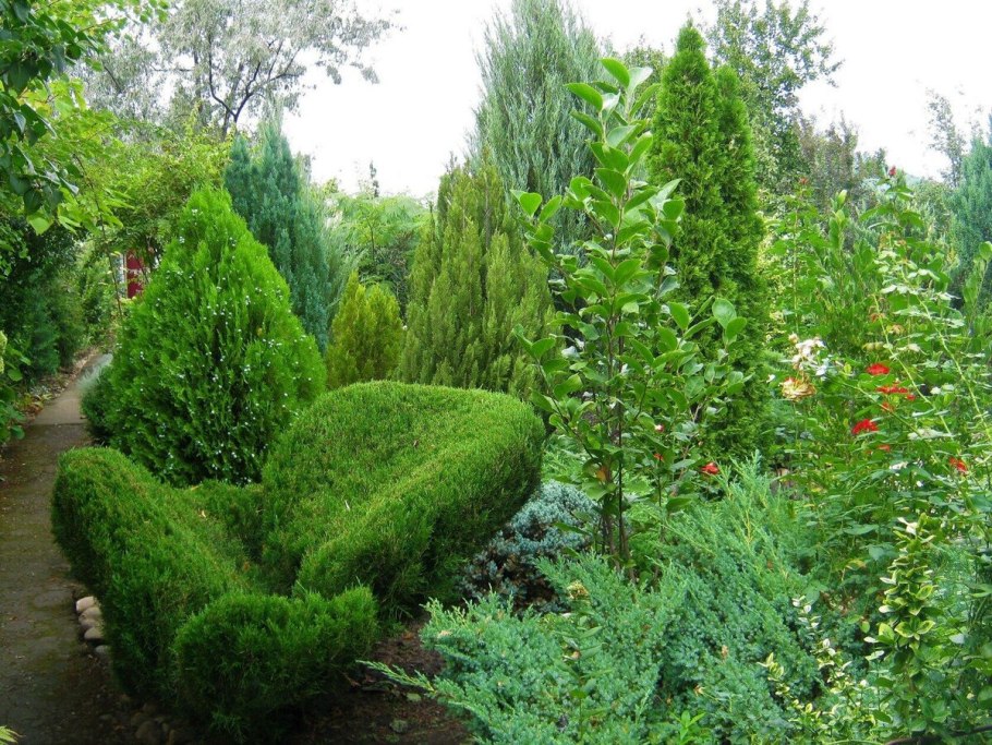 Блю Стар на штамбе