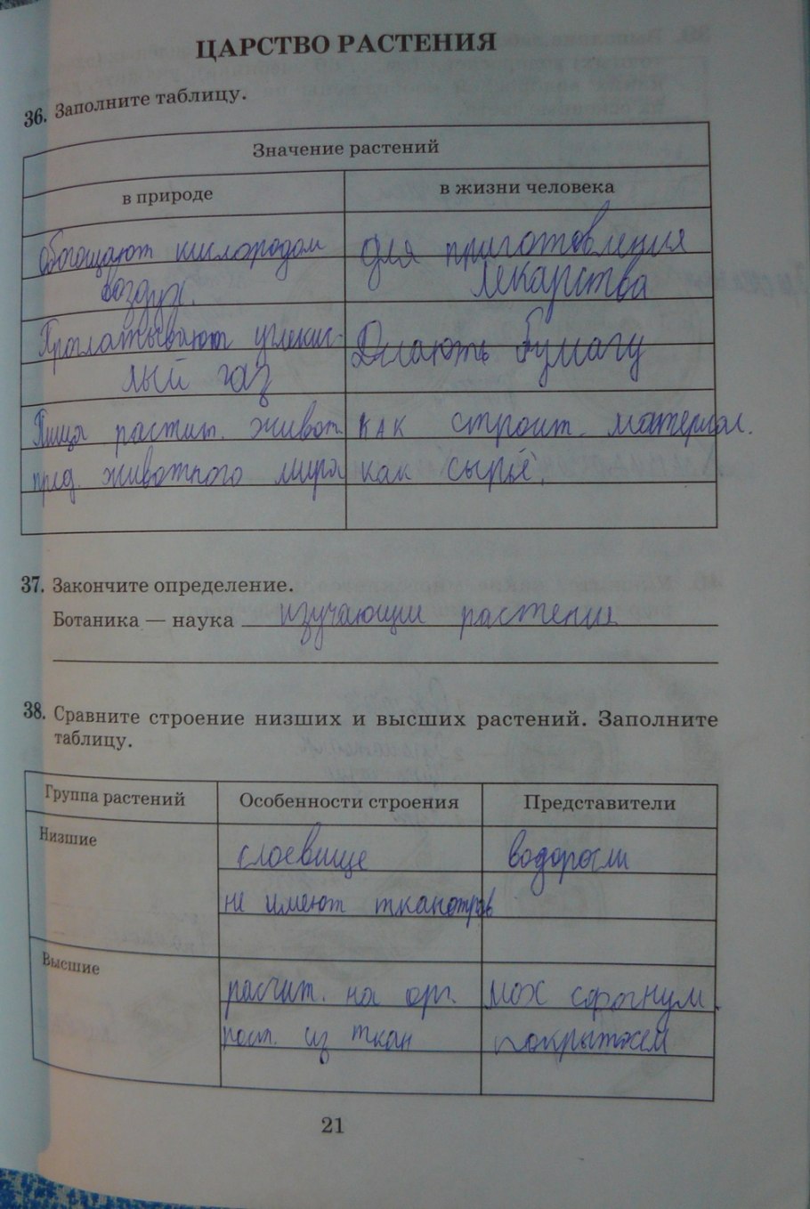 Ткани покрытосеменных растений таблица