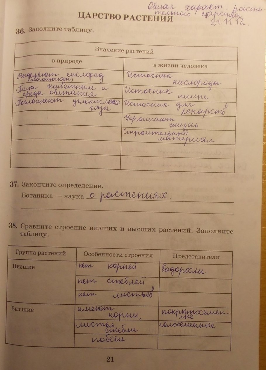 Сравнительная характеристика папоротников хвощей и плаунов