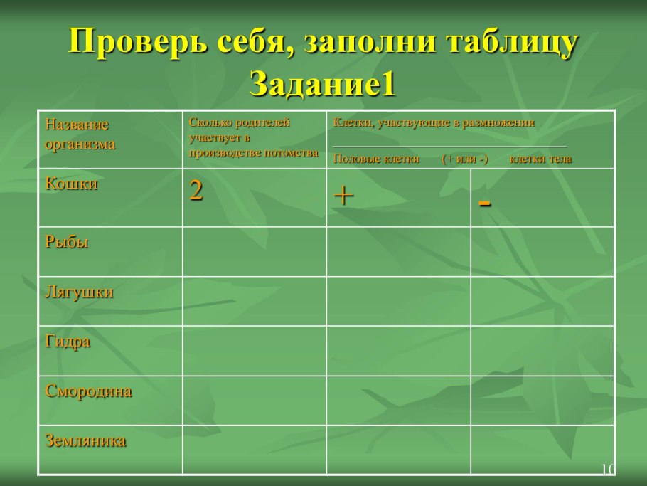 Царство растений отделы классы схема
