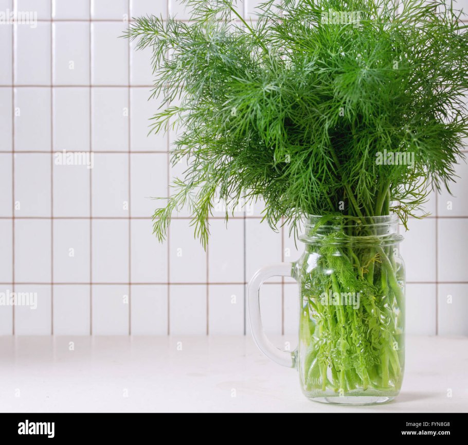 Укроп на гидропонике